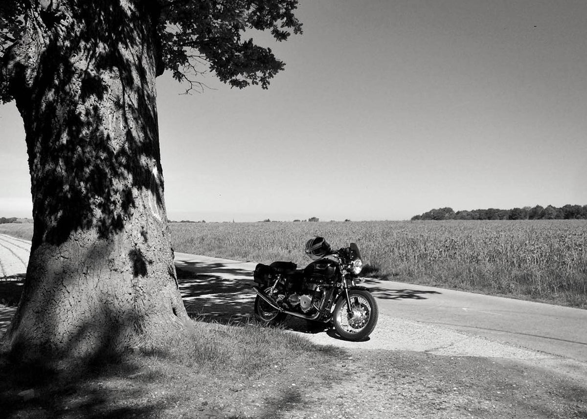Triumph Thruxton 900 (2004-2015)